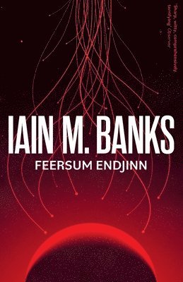 Feersum Endjinn
