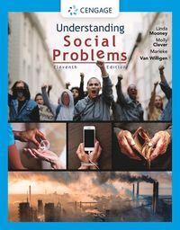 bokomslag Understanding Social Problems