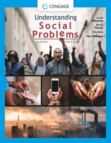 bokomslag Understanding Social Problems
