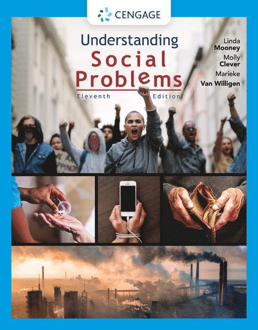 Understanding Social Problems
