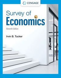 bokomslag Survey of Economics