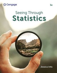 bokomslag Seeing Through Statistics