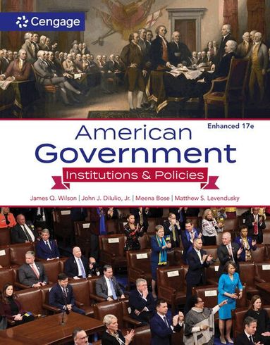 James Wilson, John DiIulio, Jr., Meena Bose, Matthew Levendusky - American Government, Häftad
