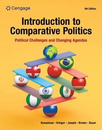 bokomslag Introduction to Comparative Politics