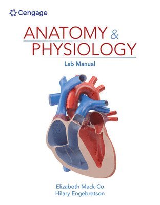 bokomslag Anatomy & Physiology Lab Manual