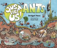 bokomslag Just Like Us! Ants