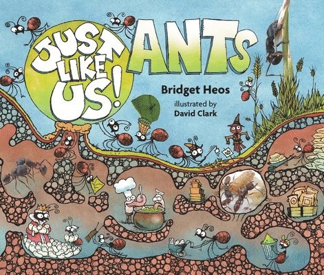 Just Like Us! Ants 1