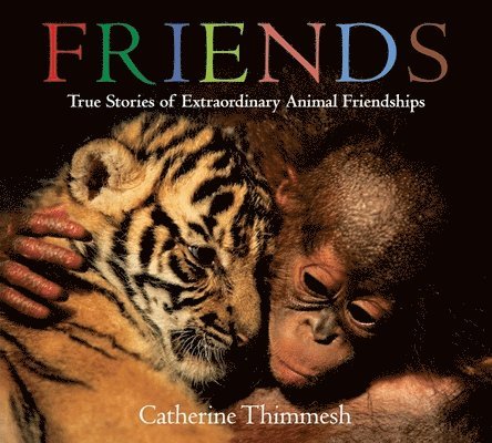 Catherine Thimmesh - Friends Board Book: True Stories of Extraordinary Animal Friendships, Kartonnage