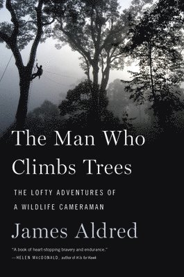 James Aldred - The Man Who Climbs Trees, Häftad