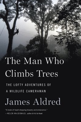 Man Who Climbs Trees 1