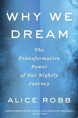 bokomslag Why We Dream: The Transformative Power of Our Nightly Journey