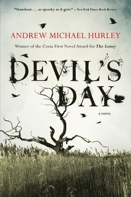 bokomslag Devil's Day