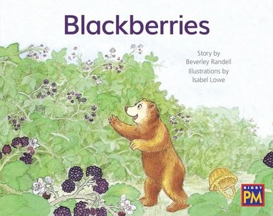 bokomslag Blackberries
