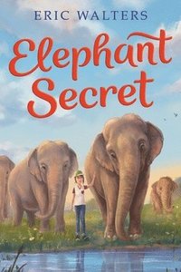 bokomslag Elephant Secret
