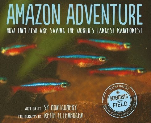 Amazon Adventure 1