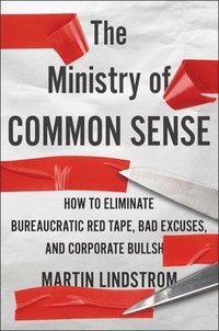 bokomslag The Ministry of Common Sense