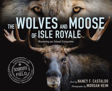 bokomslag The Wolves and Moose of Isle Royale