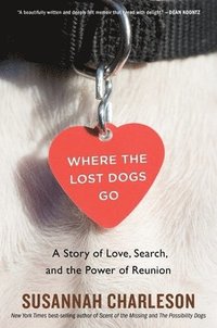 bokomslag Where the Lost Dogs Go: A Story of Love, Search, and the Power of Reunion