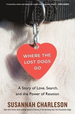 Where the Lost Dogs Go 1