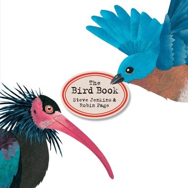 Steve Jenkins, Robin Page - Bird Book, Inbunden