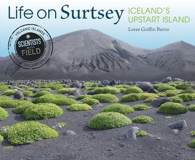 bokomslag Life on Surtsey