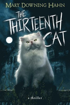 bokomslag The Thirteenth Cat