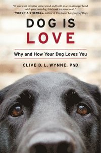bokomslag Dog Is Love
