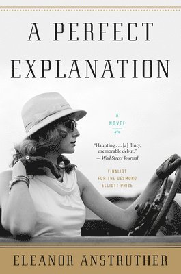 Eleanor Anstruther - A Perfect Explanation, Häftad