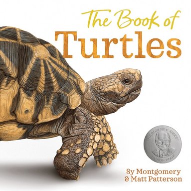 Sy Montgomery - Book of Turtles, Inbunden