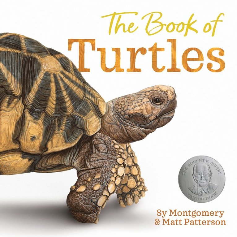 Book of Turtles