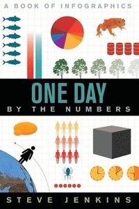 bokomslag One Day by the Numbers