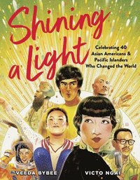 bokomslag Shining a Light