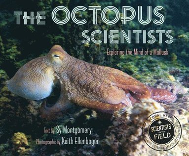 bokomslag The Octopus Scientists
