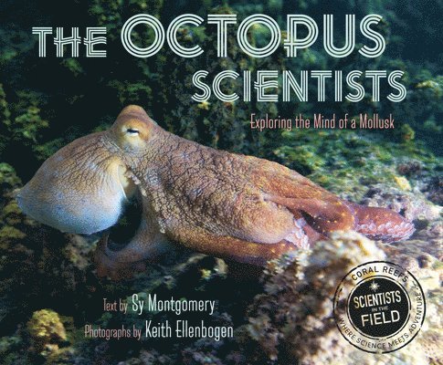 Octopus Scientists 1