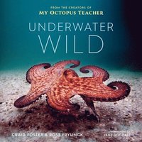 bokomslag Underwater Wild