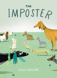 bokomslag Imposter