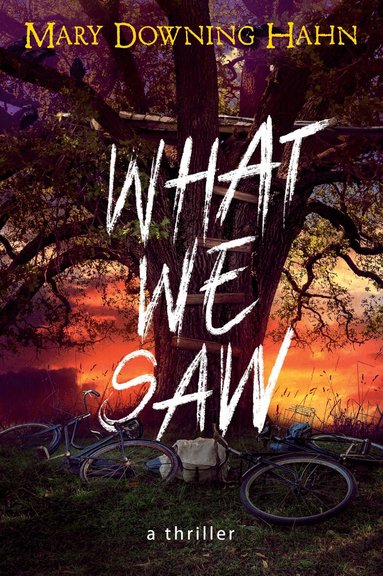Mary Downing Hahn - What We Saw, Häftad