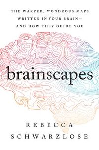 bokomslag Brainscapes