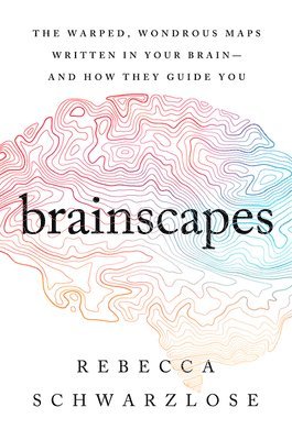 bokomslag Brainscapes