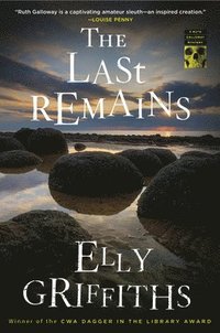 bokomslag The Last Remains