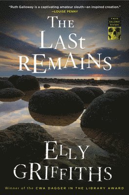 bokomslag The Last Remains