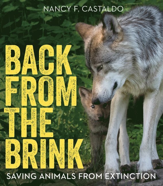 Back from the Brink 1