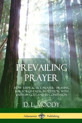 bokomslag Prevailing Prayer