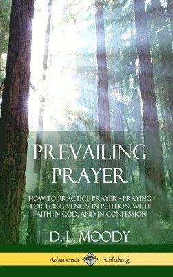 bokomslag Prevailing Prayer