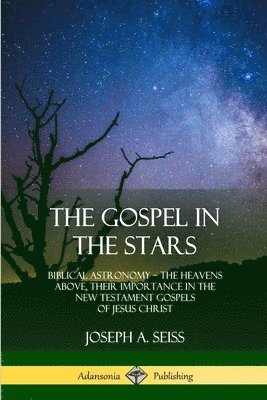 bokomslag The Gospel in the Stars