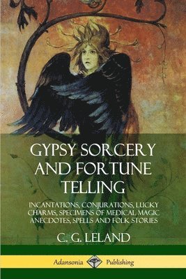 bokomslag Gypsy Sorcery and Fortune Telling