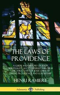 bokomslag The Laws of Providence