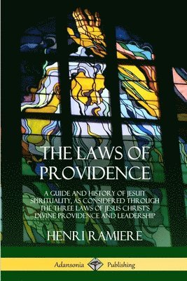 bokomslag The Laws of Providence