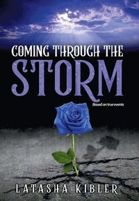 bokomslag Coming Through the Storm