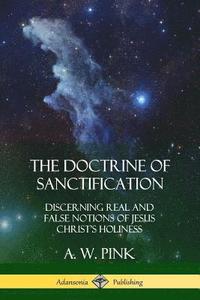 bokomslag The Doctrine of Sanctification